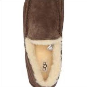 NWT UGG Ascot Slippers!!